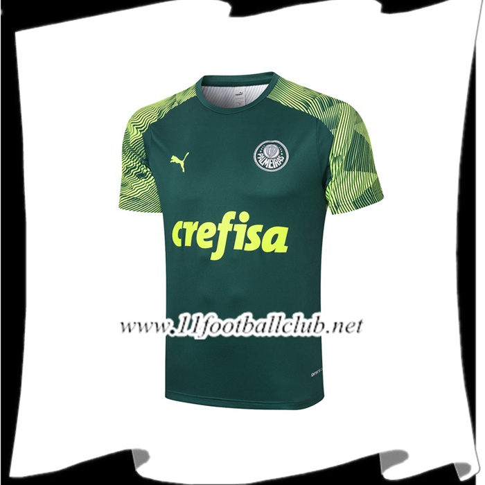 Le Nouveaux Training T-Shirts Palmeiras Vert 2020/2021 Flocage