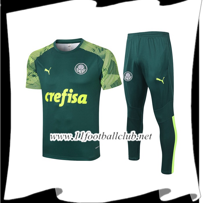 Le Nouveaux Ensemble Training T-Shirts Palmeiras + Pantalon Vert 2020/2021