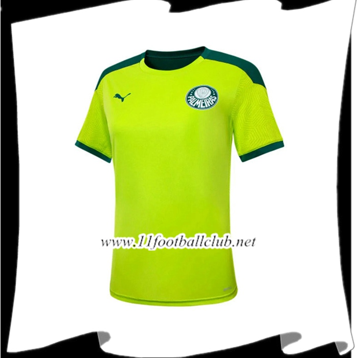 Nouveau Training T-Shirts Palmeiras Vert 2021/2022