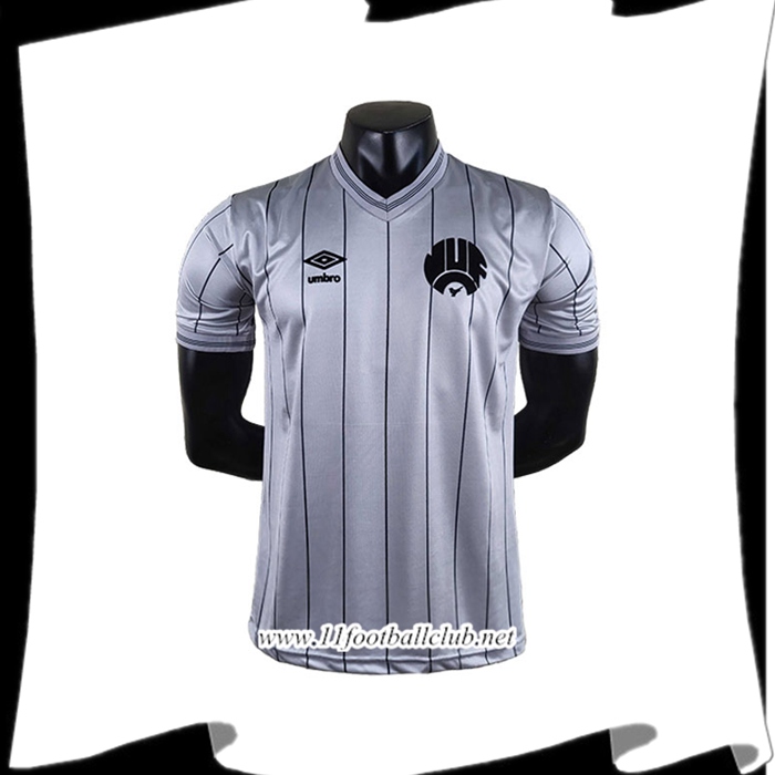 Le Nouveau Maillot de Foot Monterrey Gris 2022/2023