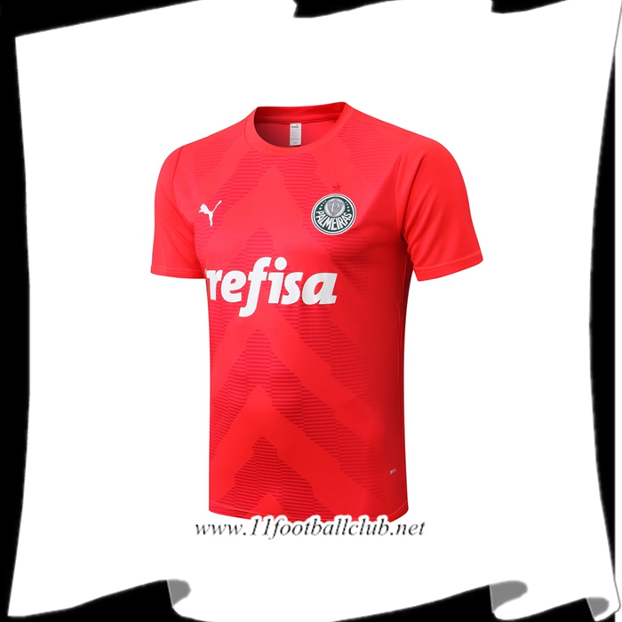 Training T-Shirts Palmeiras Rouge 2022/2023