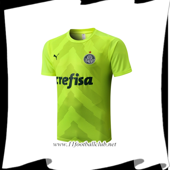 Training T-Shirts Palmeiras Vert 2022/2023
