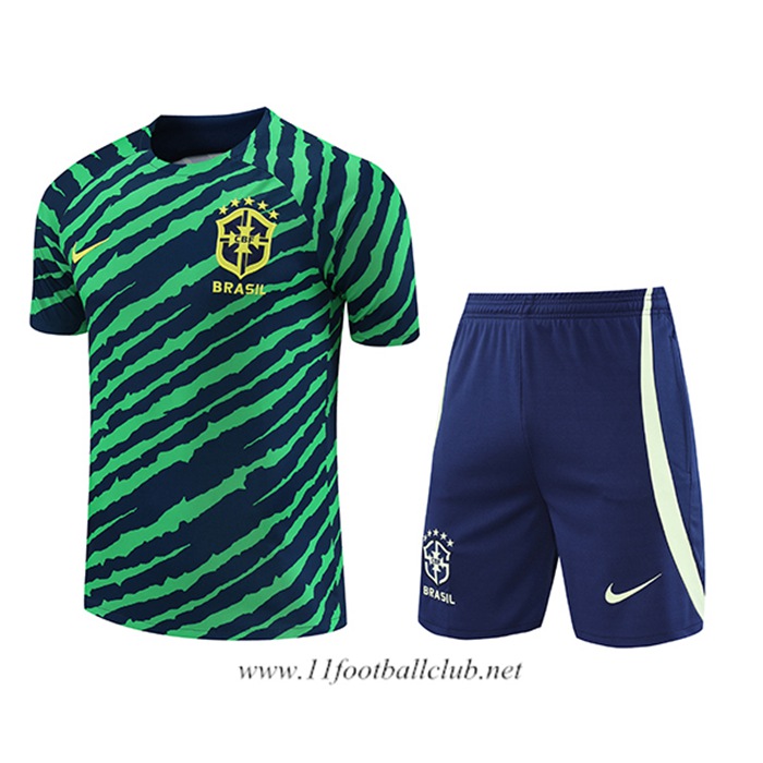 Ensemble Training T-Shirts + Shorts Bresil Vert/Bleu 2022/2023