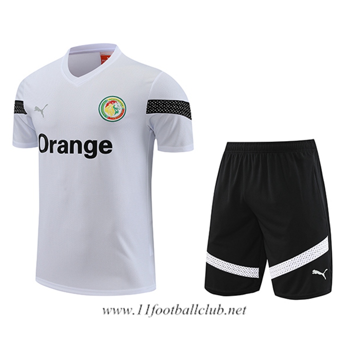 Ensemble Training T-Shirts + Shorts Sénégal Blanc 2023/2024
