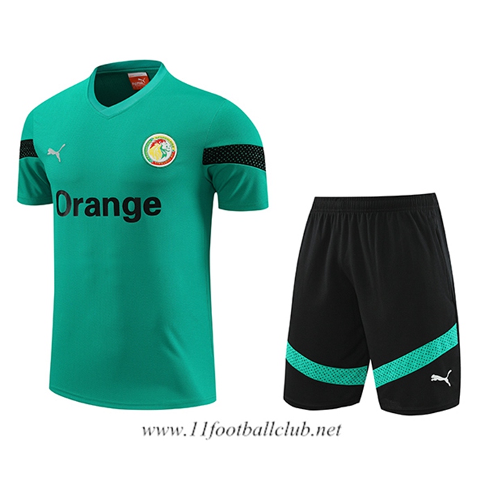 Ensemble Training T-Shirts + Shorts Sénégal Vert 2023/2024