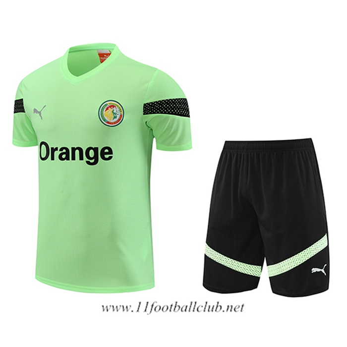 Ensemble Training T-Shirts + Shorts Sénégal Vert 2023/2024