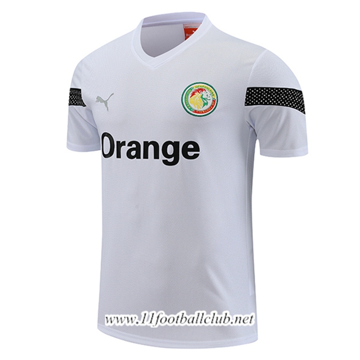 Training T-Shirts Sénégal Blanc 2023/2024