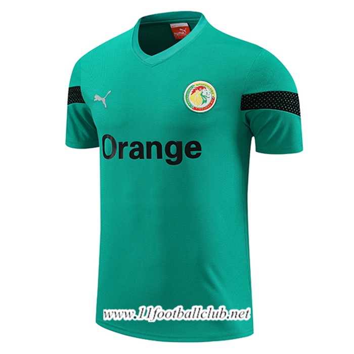 Training T-Shirts Sénégal Vert 2023/2024