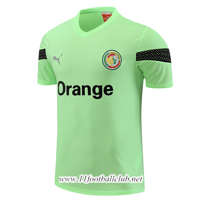 Training T-Shirts Sénégal Vert 2023/2024
