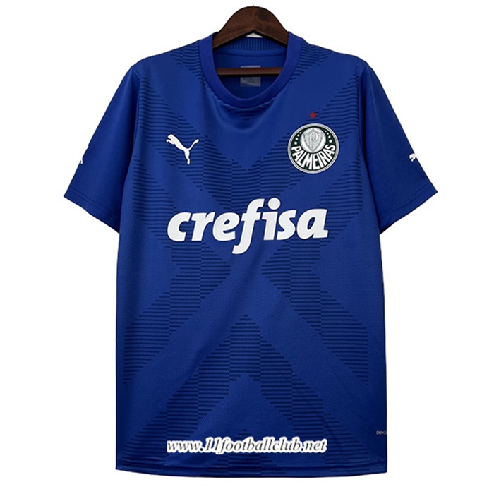 Maillot de Foot Palmeiras Gardien de But Bleu 2023/2024