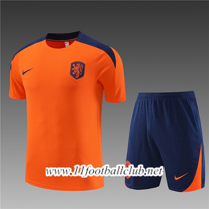 Ensemble Training T-Shirts + Shorts Pays-Bas Enfant Orange 2023/2024