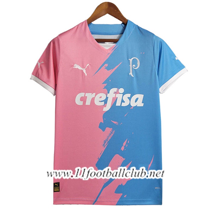 Maillot de Foot Palmeiras Commemorative Edition 2023/2024