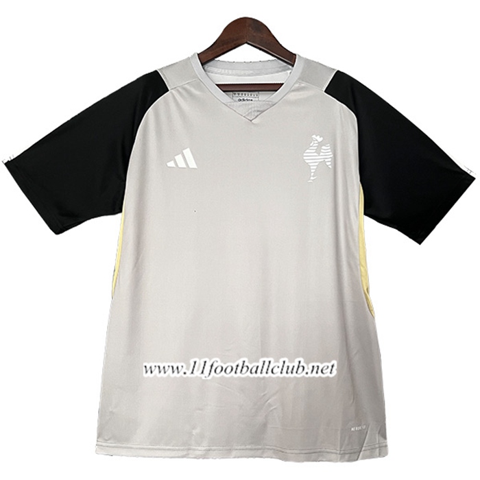 Training T-Shirts Atletico Mineiro Gris/Noir 2024/2025