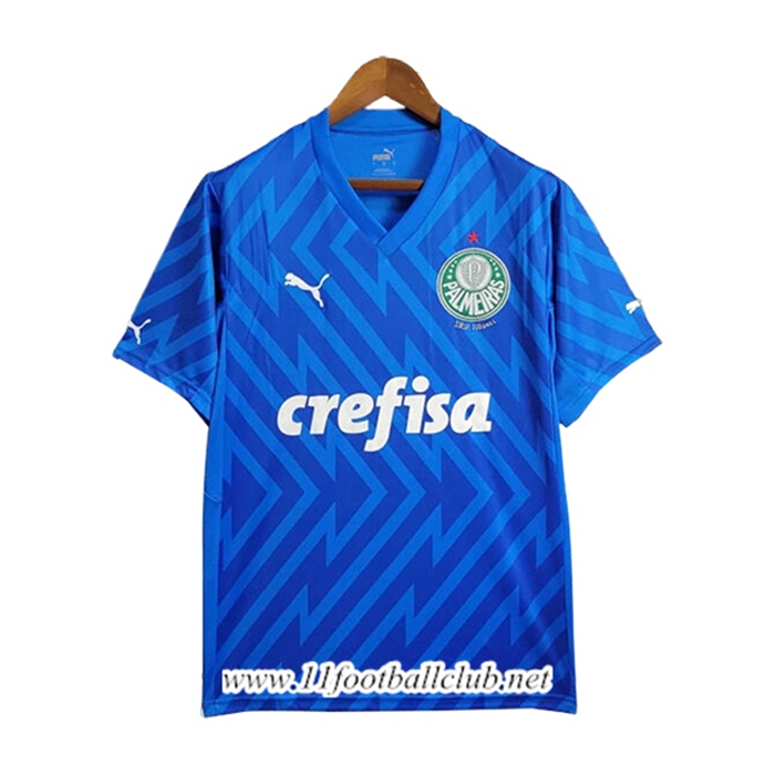 Maillot de Foot Palmeiras Gardien de But Bleu 2024/2025