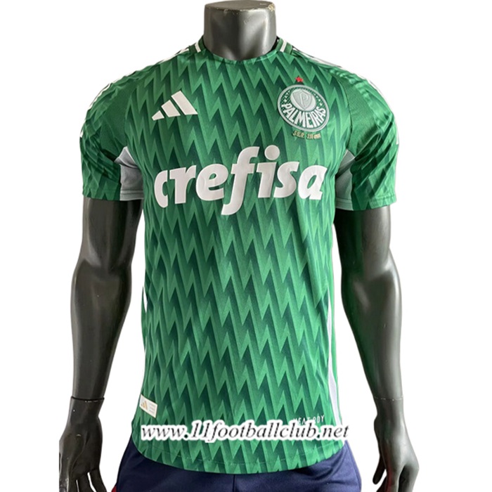Maillot de Foot Palmeiras Special Edition Vert 2024/2025