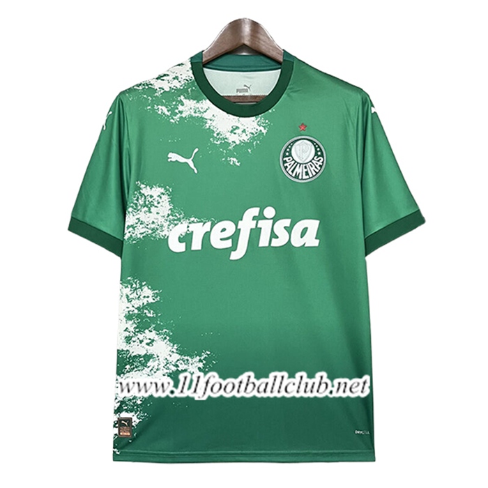 Maillot de Foot Palmeiras Special Edition Vert 2024/2025 -02
