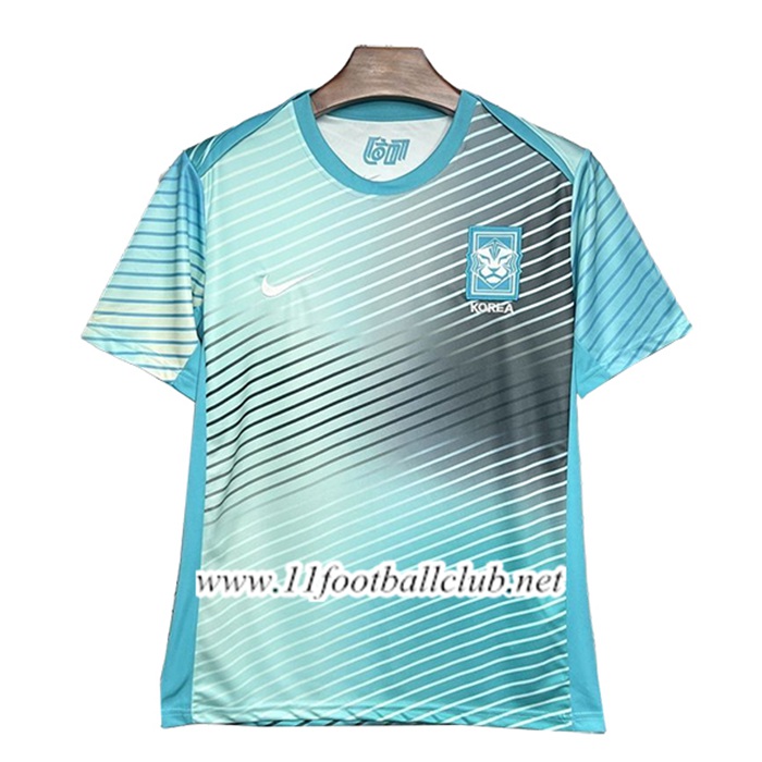 Training T-Shirts Corée Du Sud Bleu/Gris 2024/2025