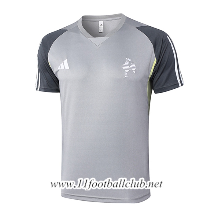 Training T-Shirts Atletico Mineiro Gris 2024/2025