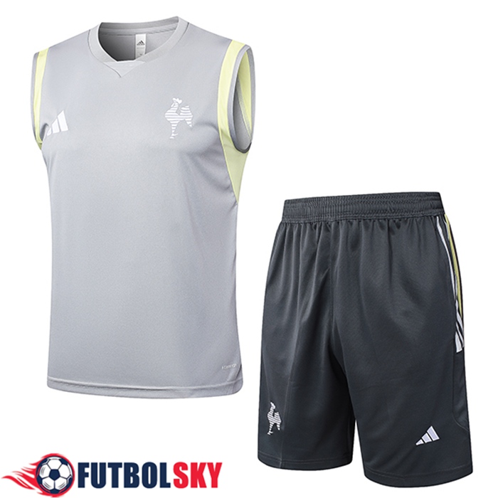 Ensemble Training Debardeur Atletico Mineir Gris Clair 2024/2025