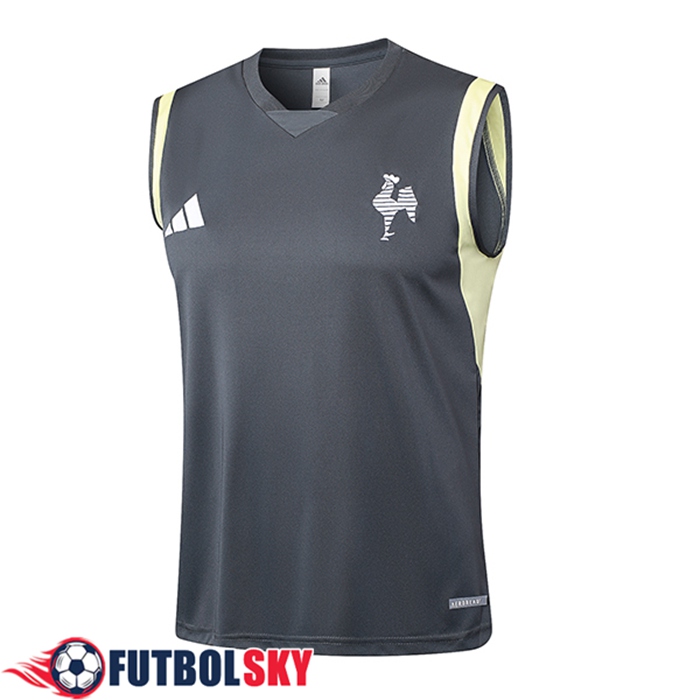 Training Debardeur Atletico Mineir Gris Foncé 2024/2025