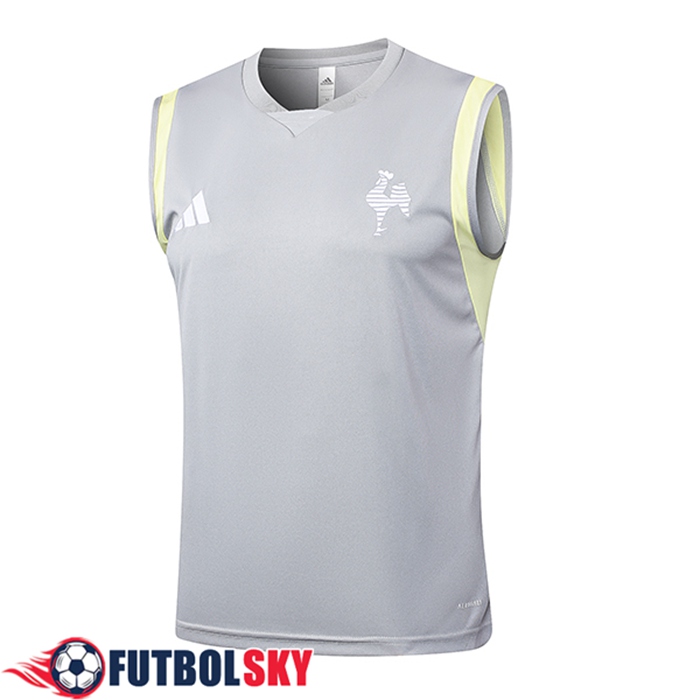 Training Debardeur Atletico Mineir Gris Clair 2024/2025