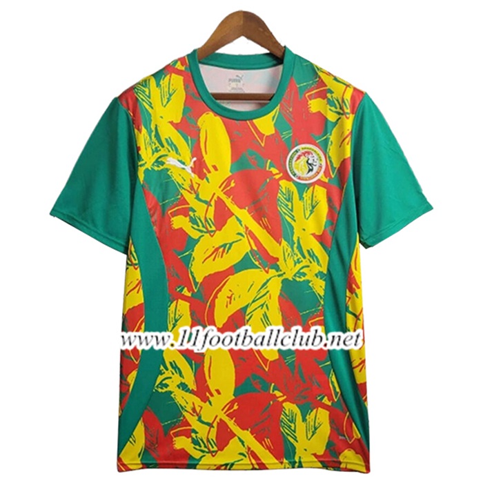 Training T-Shirts Senegal Vert/Jaune/Rouge 2025/2026