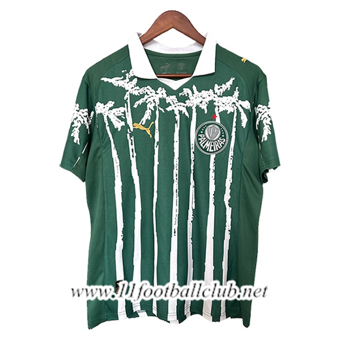 Maillot de Foot Palmeiras Special Edition Vert 2025/2026