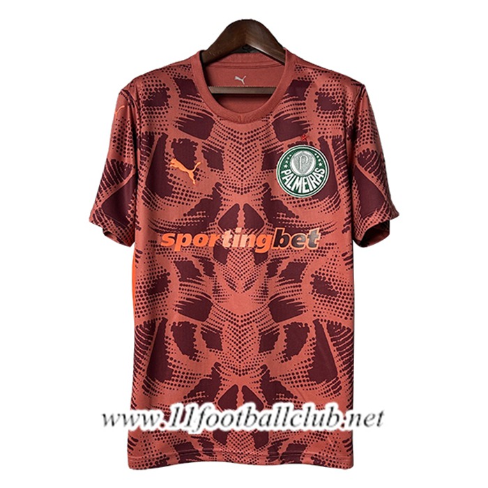 Maillot de Foot Palmeiras Gardien De But Rouge 2025/2026