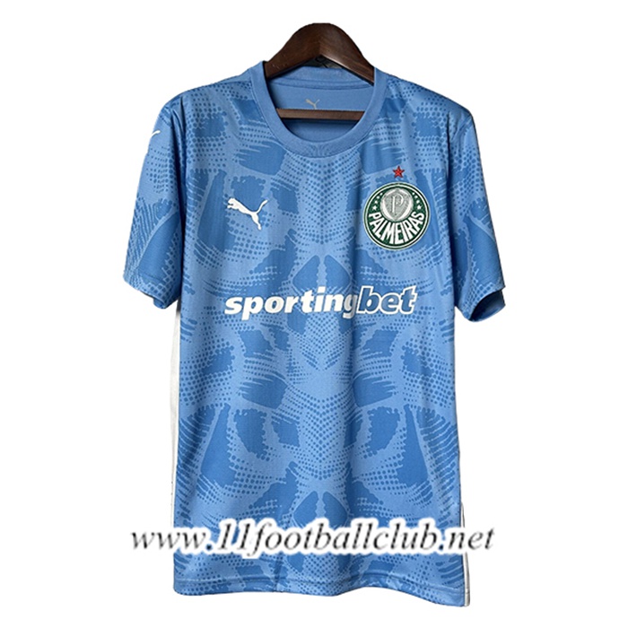 Maillot de Foot Palmeiras Gardien De But Bleu 2025/2026