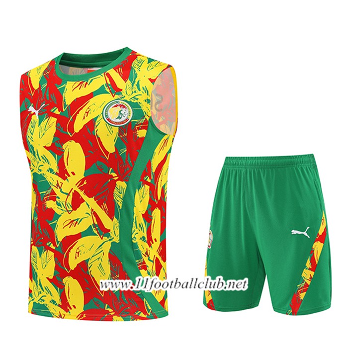 Ensemble Training Debardeurs Senegal Jaune/Rouge/Vert 2025/2026