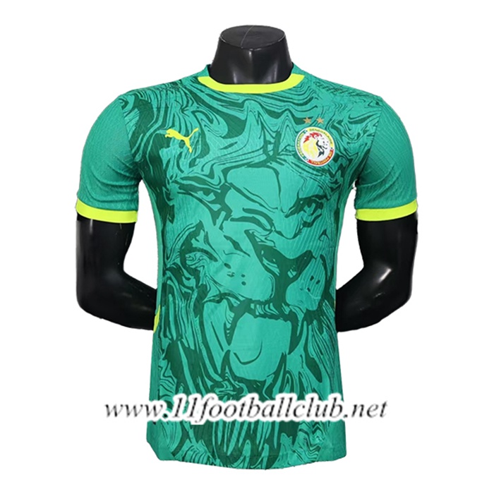 Maillot Equipe Foot Sénégal Special Edition Vert 2026/2027