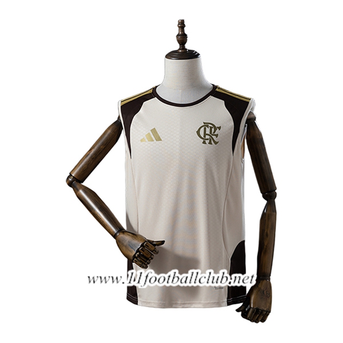 Training Debardeurs Flamengo Beige/Brun 2025/2026