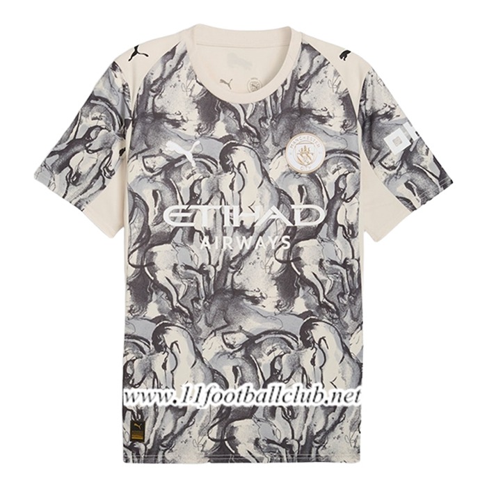 Maillot de Foot Manchester City Special Edition Gris 2025/2026