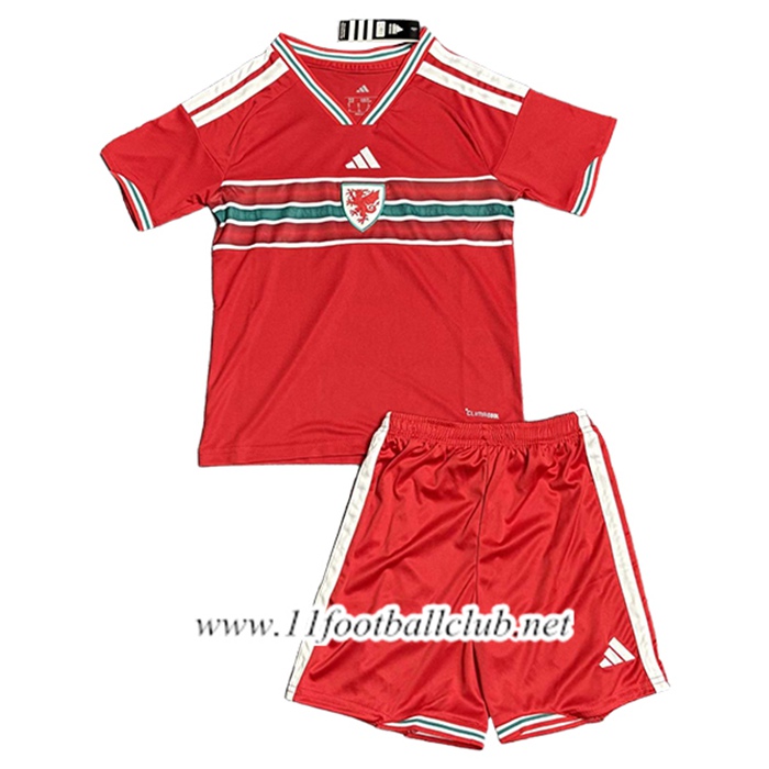 Maillot de Foot Pays de Galles Enfant Homme 2026/2027