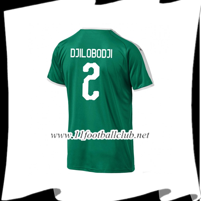 Nouveau Maillot Football Sénégal DJILOBODJI 2 Exterieur Vert 2018 2019