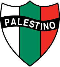 Maillot De Palestino